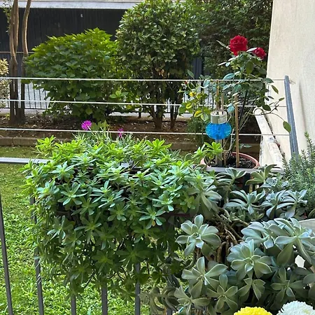 Casa Nuara * نوفارا