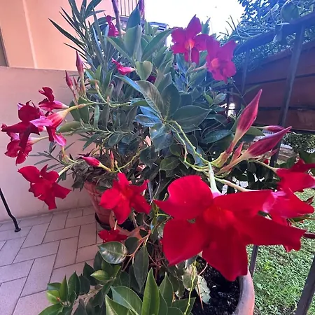 Casa Nuara Appartement Novare