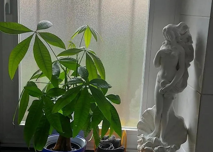 Casa Nuara * ノヴァーラ